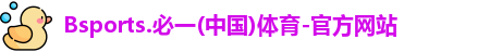 Bsports必一首页